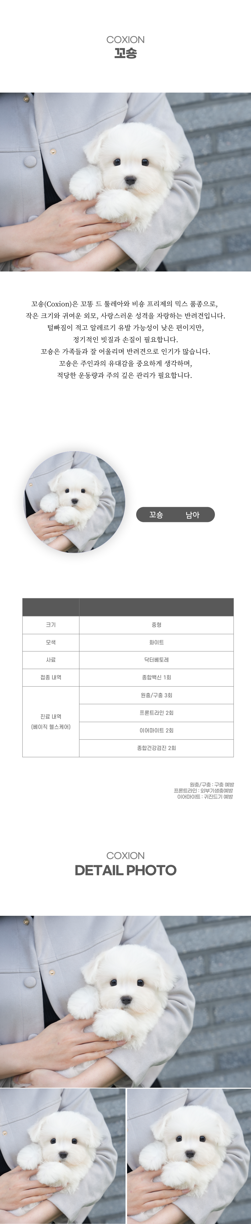 꼬숑_상세이미지_2